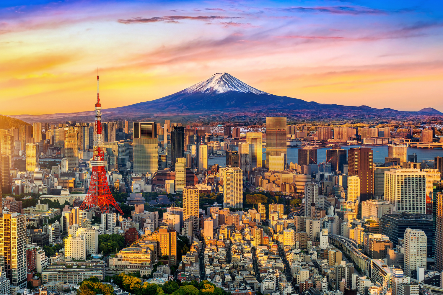du lịch tokyo tự túc - Hình 3
