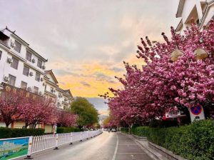 du lịch trung quốc tháng 5