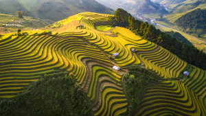 du lịch tú lệ