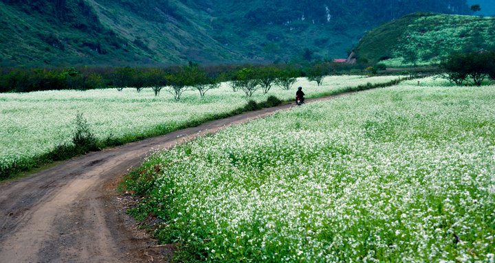 du lịch tự nhiên - Hình 2