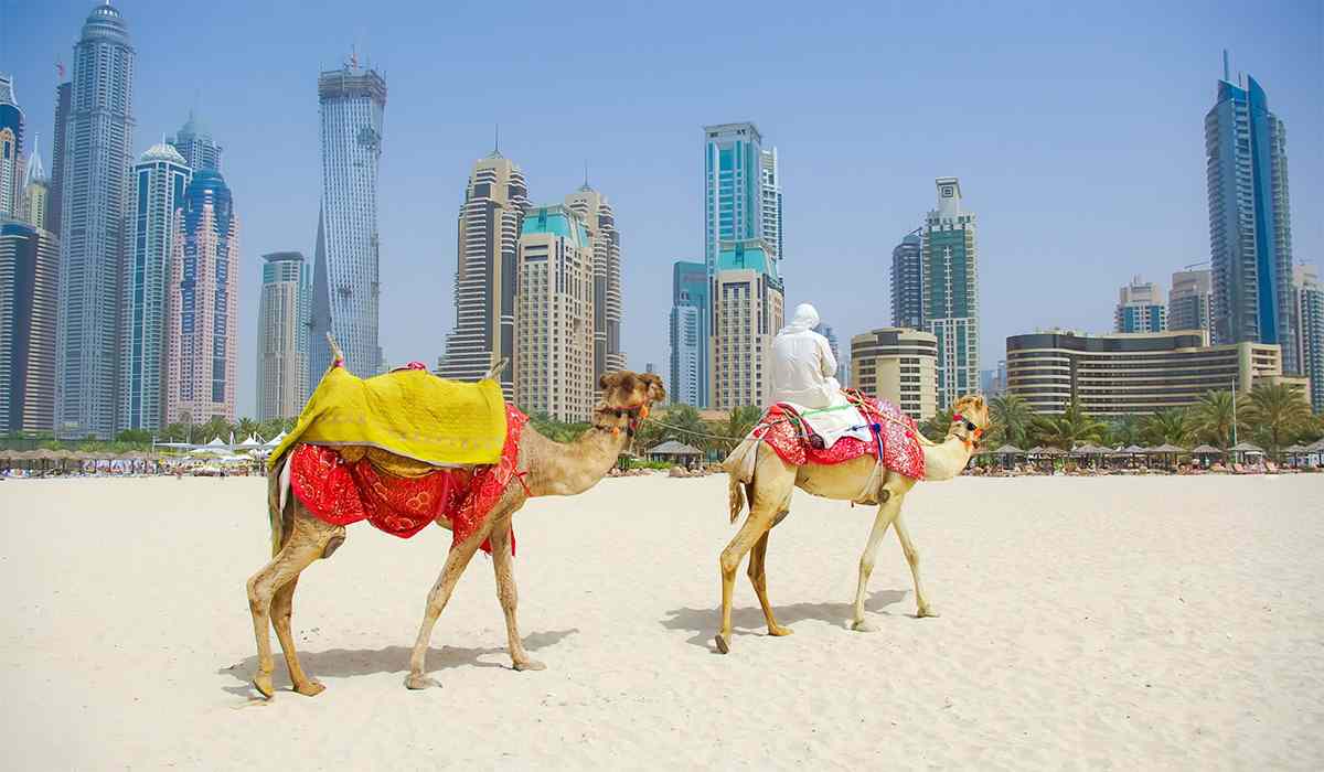 du lịch uae - Hình 2