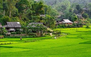 du lịch vân hồ sơn la