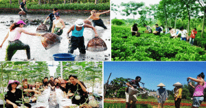du lịch văn hoá gắn với văn minh lúa nước