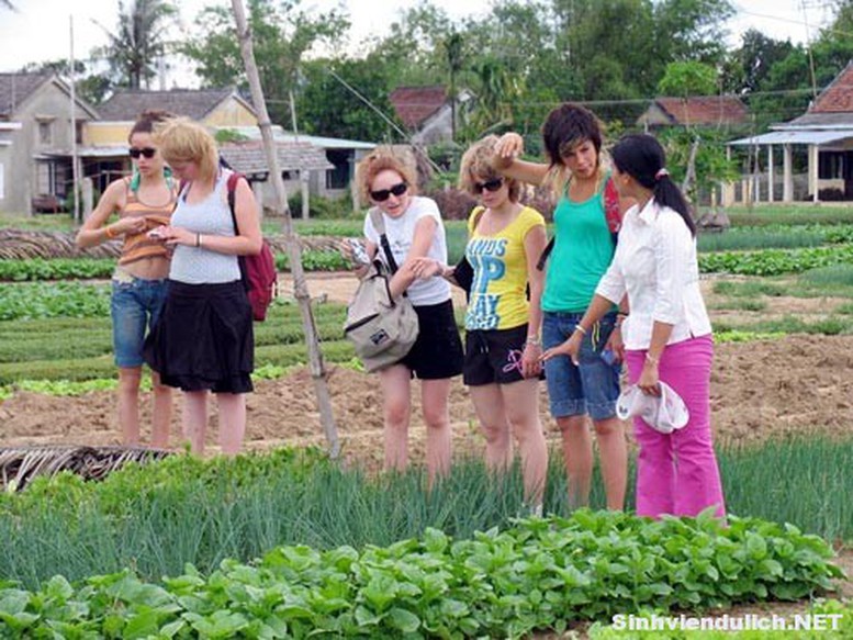 du lịch văn hoá gắn với văn minh lúa nước - Hình 3