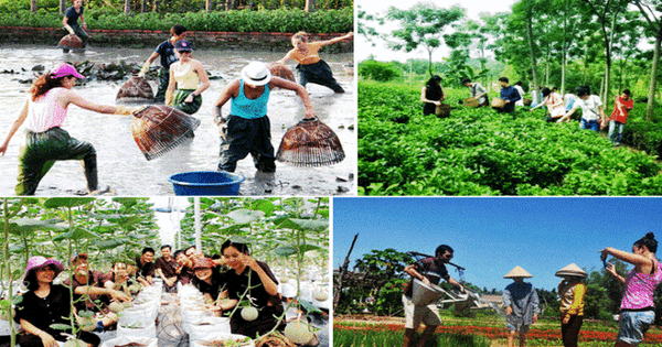 du lịch văn hoá gắn với văn minh lúa nước - Hình 1