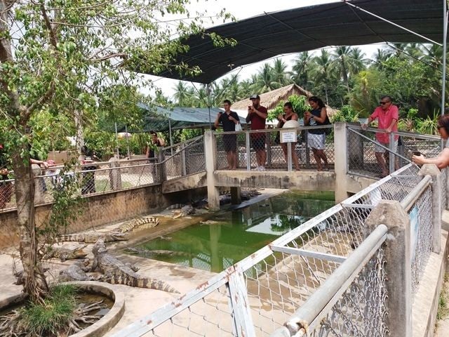 du lịch việt nhật - Hình 3
