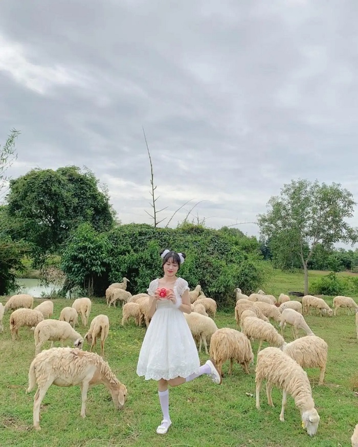 du lịch vũng tàu cho gia đình có con nhỏ - Hình 4