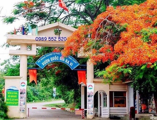 du lịch vườn quốc gia ba vì 1 ngày - Hình 3