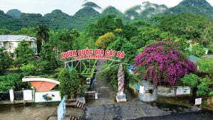 du lịch vườn quốc gia cát bà