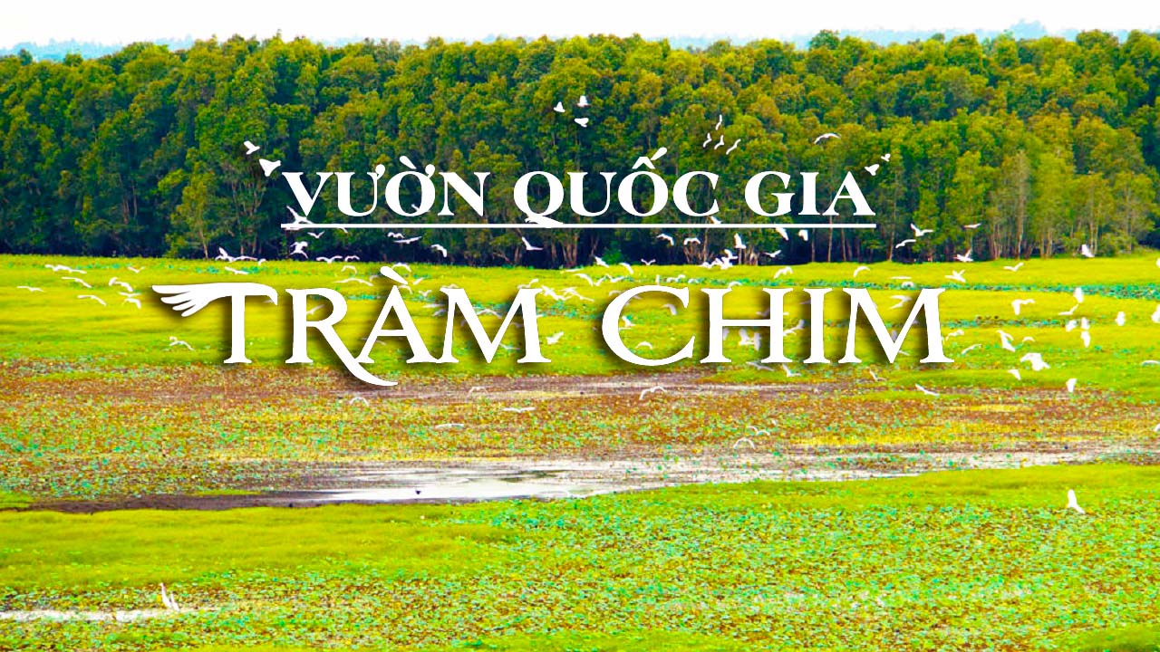 du lịch vườn quốc gia tràm chim - Hình 5