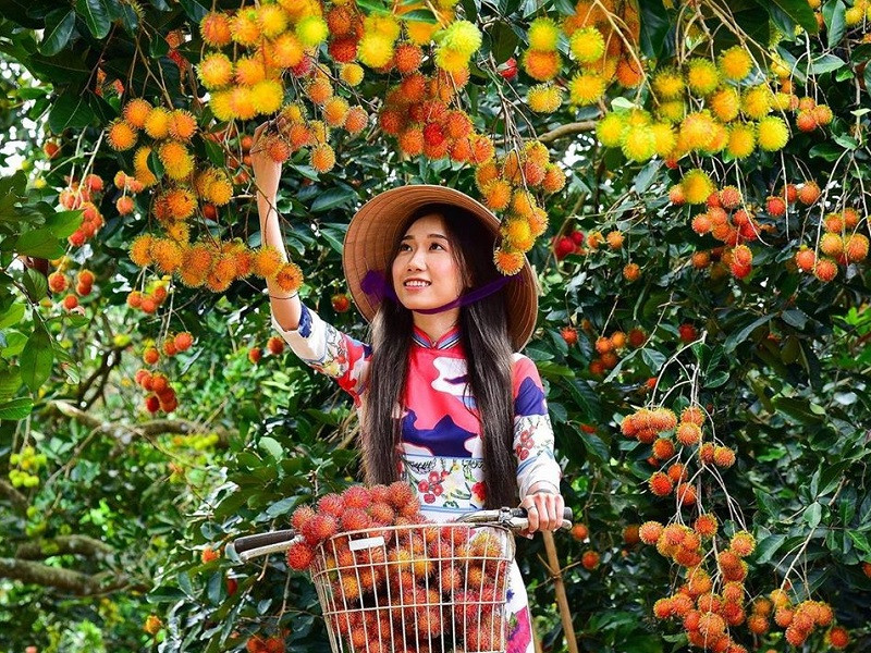 du lịch vườn trái cây long khánh - Hình 2
