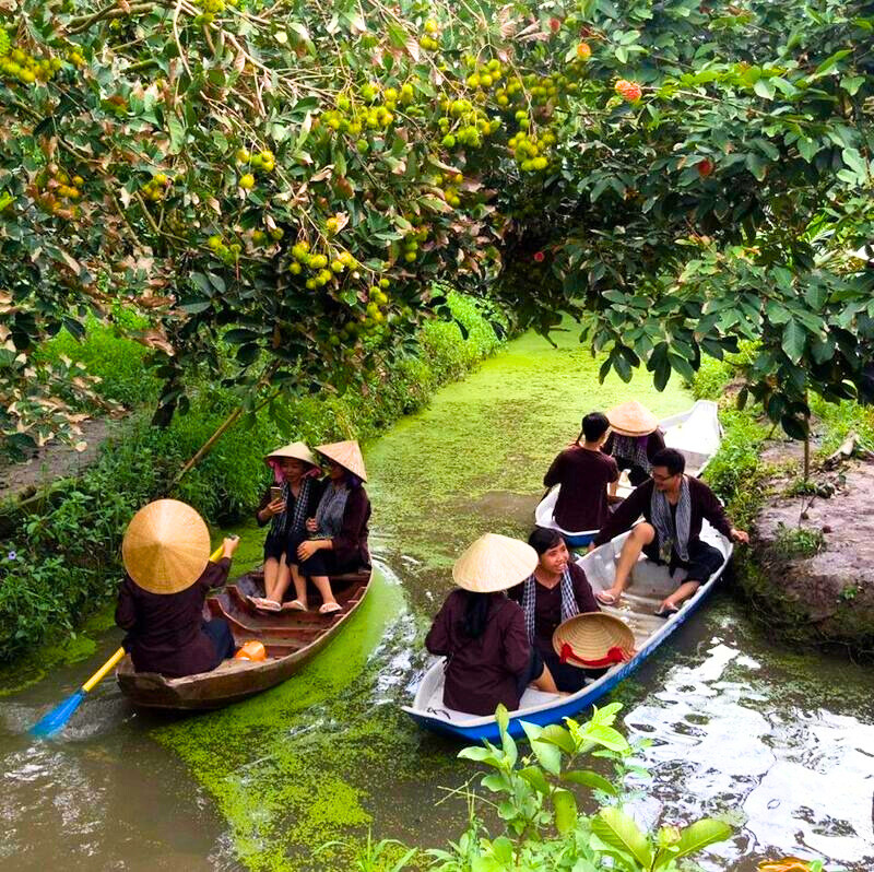 du lịch vườn trái cây miền tây - Hình 3