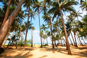du lịch xã đảo tam hải