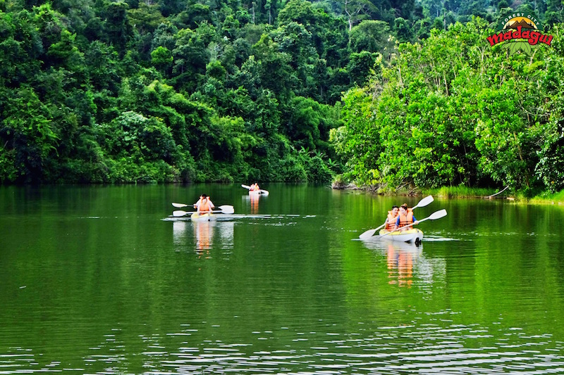 hình ảnh của khu du lịch rừng madagui - Hình 4
