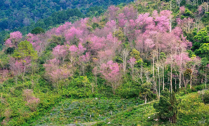 ít tiền nên đi du lịch ở đâu - Hình 4