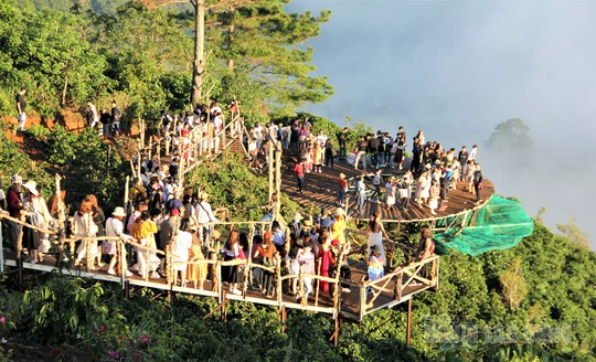 khách du lịch đà lạt - Hình 2