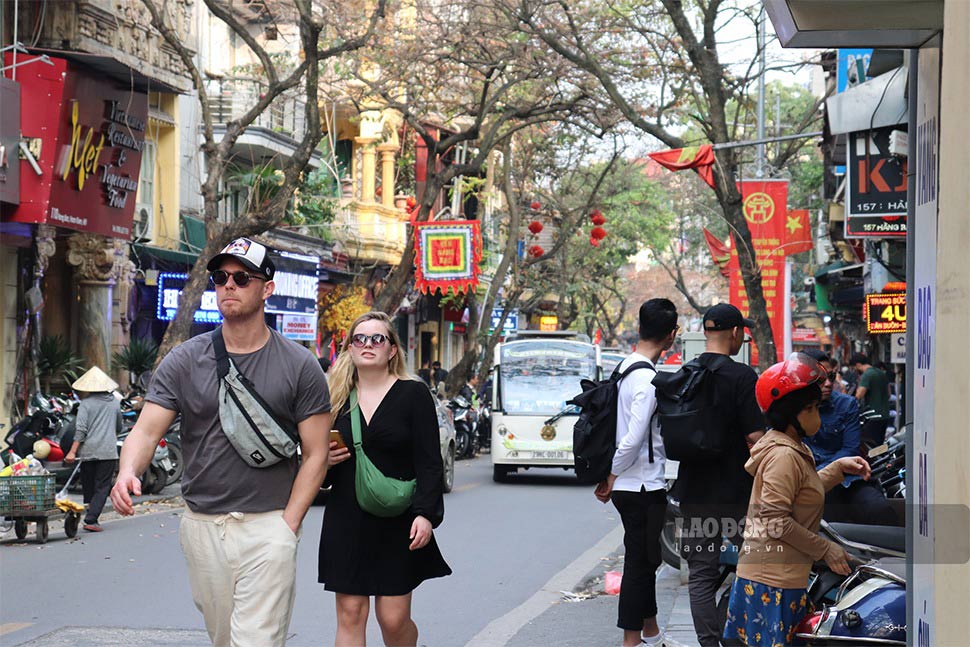 khách tây du lịch việt nam - Hình 4