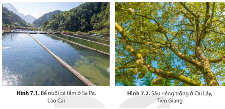 khí hậu không ảnh hưởng đến loại hình du lịch nào - Hình 4