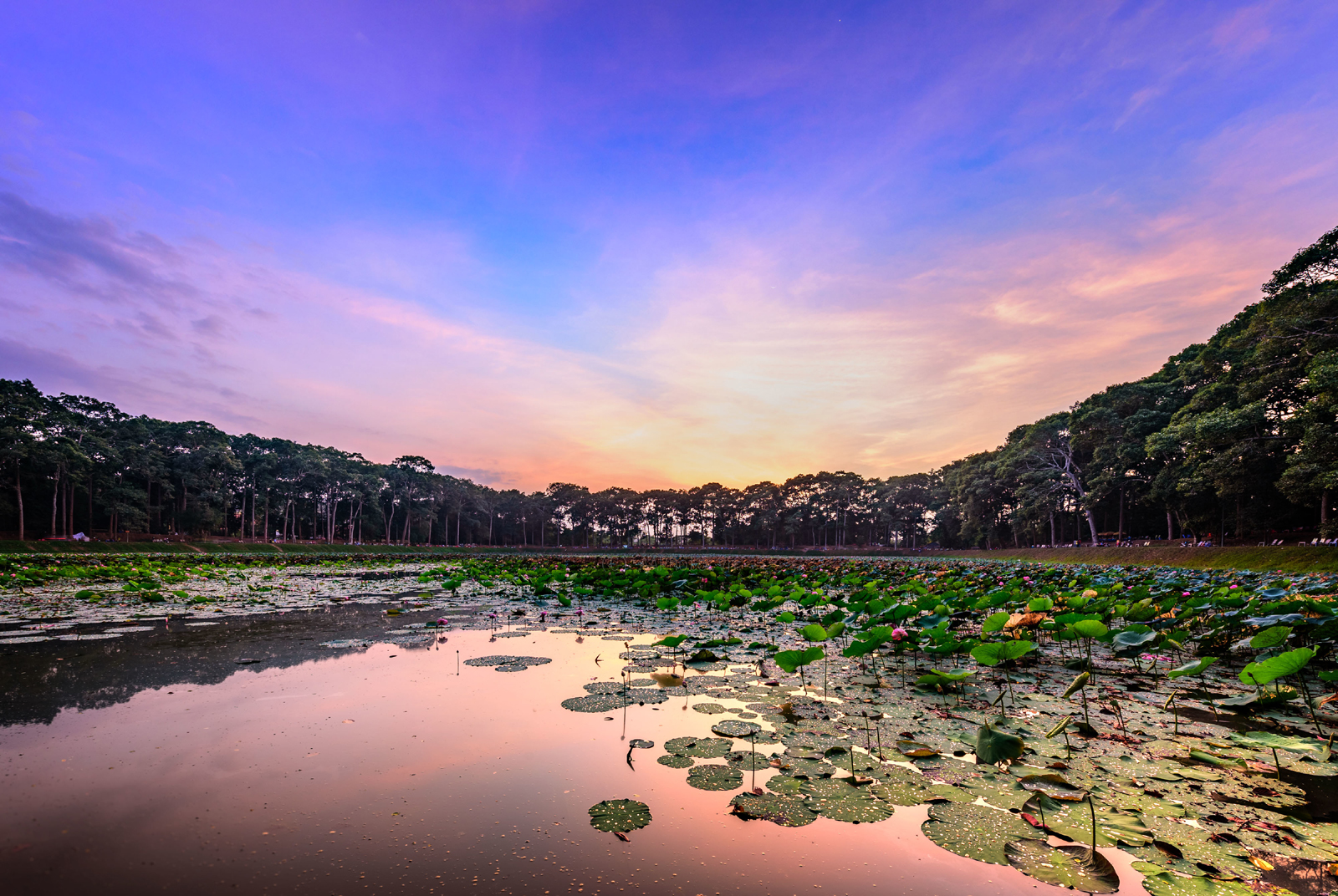 khu du lịch ao bà om - Hình 2