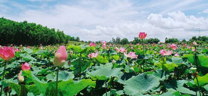 khu du lịch ba láng - Hình 4