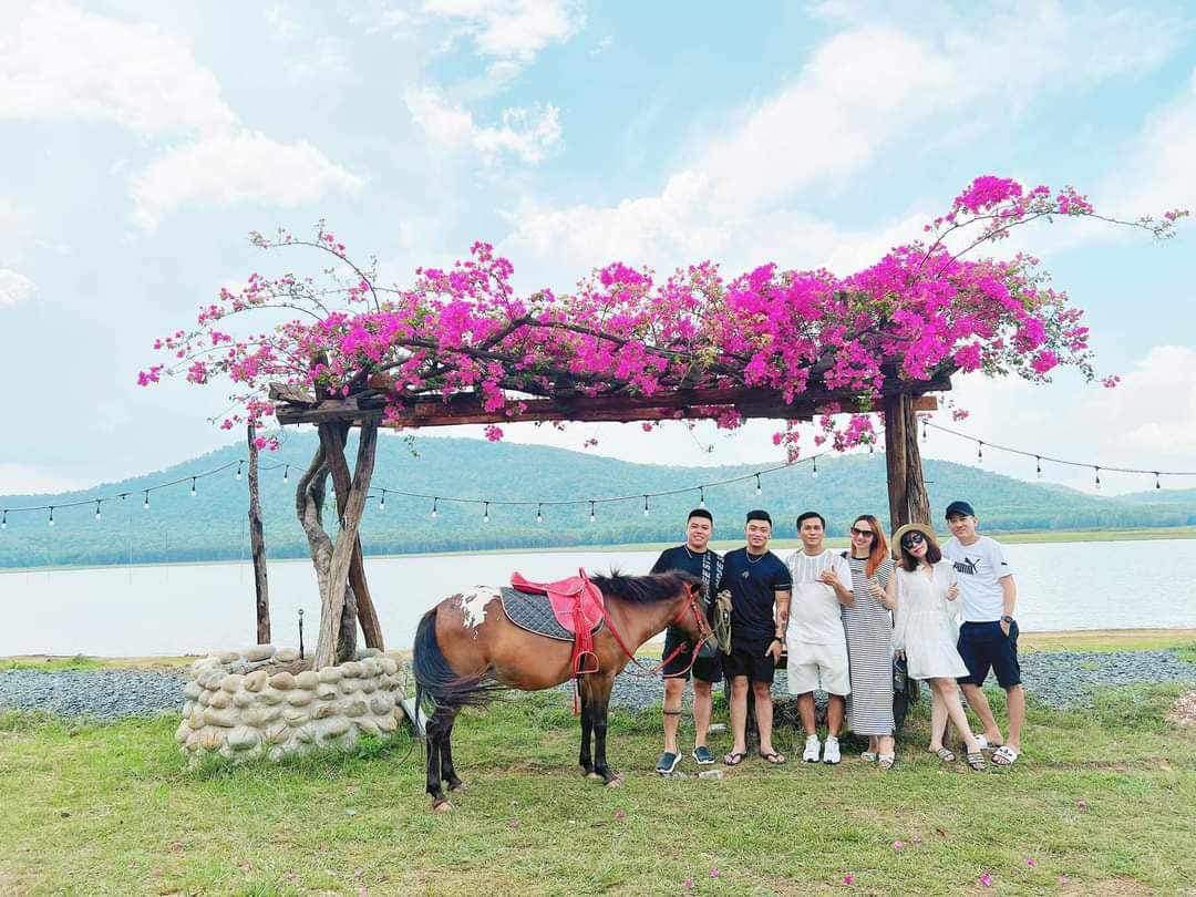 khu du lịch bằng lăng dầu tiếng - Hình 4