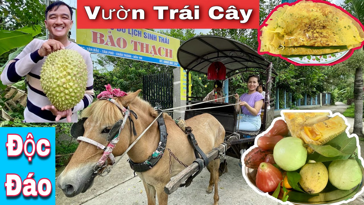 khu du lịch bảo thạch - Hình 2