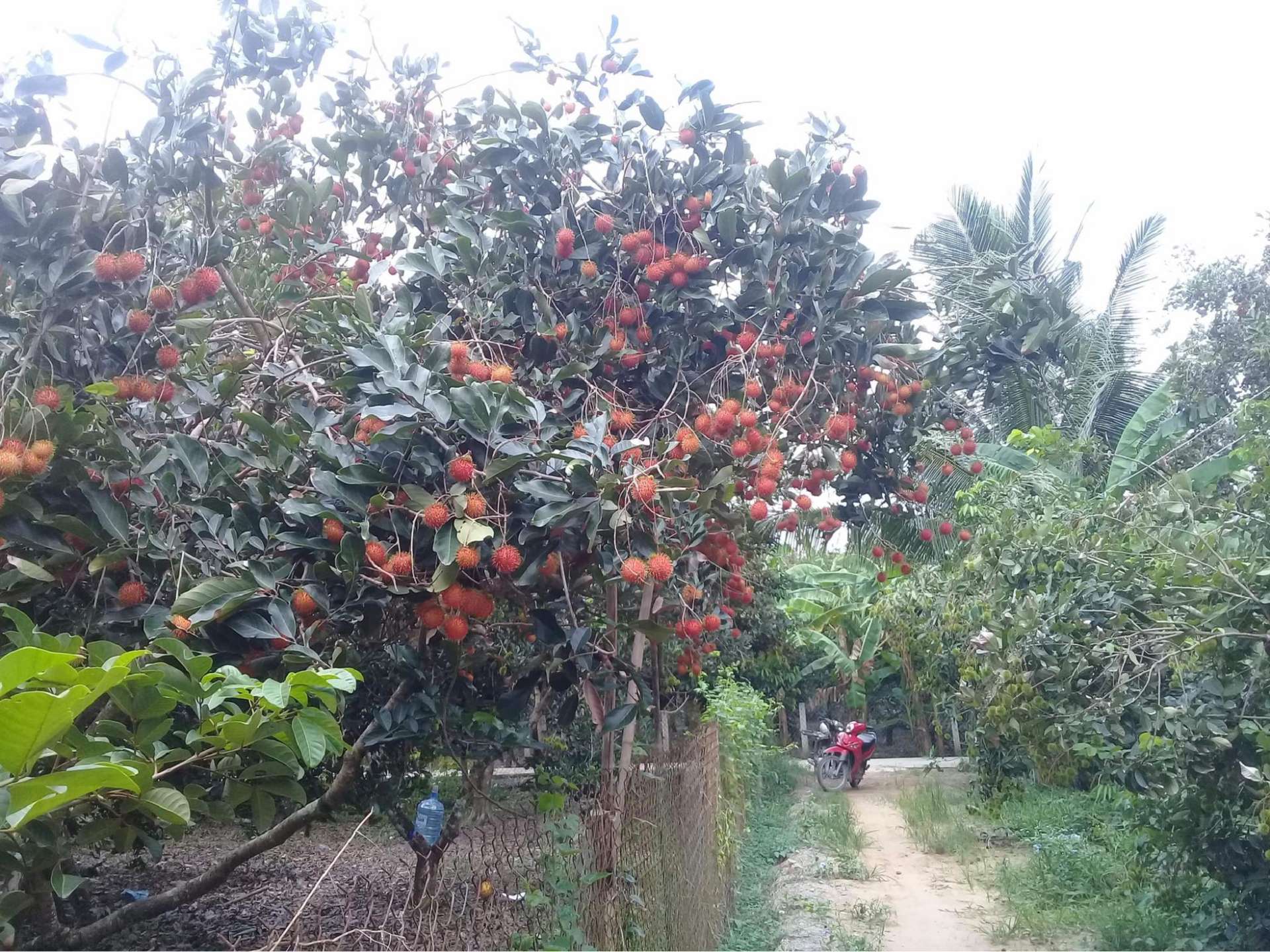 khu du lịch bảo thạch - Hình 3
