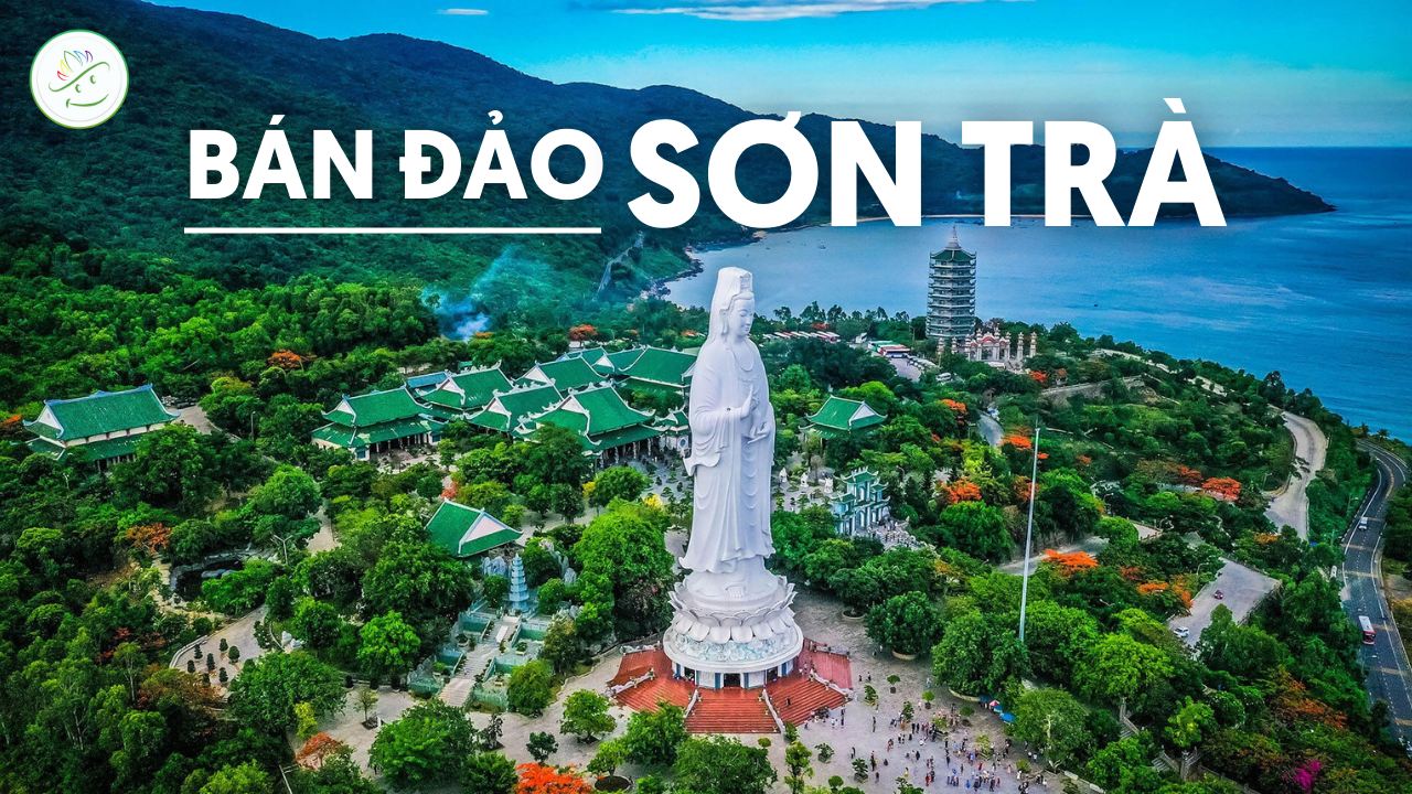 khu du lịch biển đảo sơn trà thuộc tỉnh nào - Hình 5