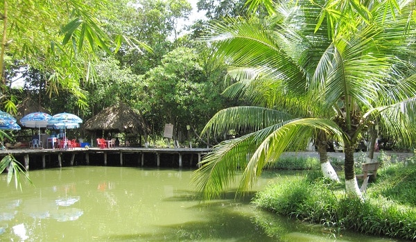 khu du lịch bình mỹ củ chi - Hình 4