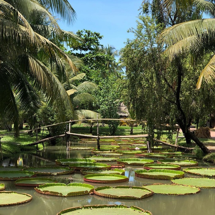 khu du lịch bình quới 1 ảnh - Hình 4