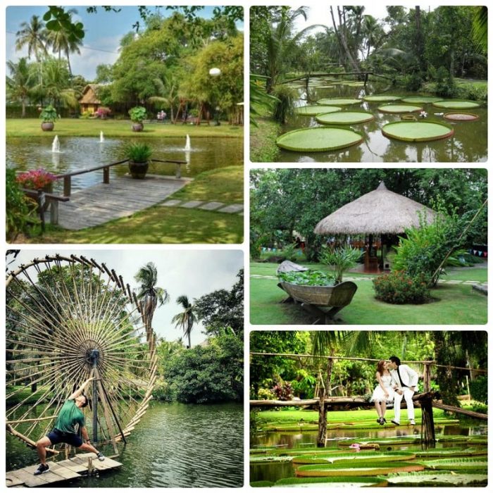 khu du lịch bình quới 1 giá vé - Hình 4