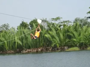 khu du lịch bò cạp vàng chết người