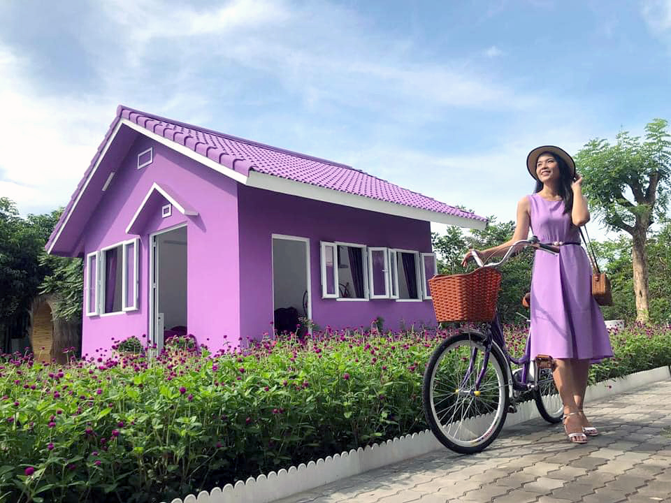 khu du lịch căn nhà màu tím cần thơ - Hình 5