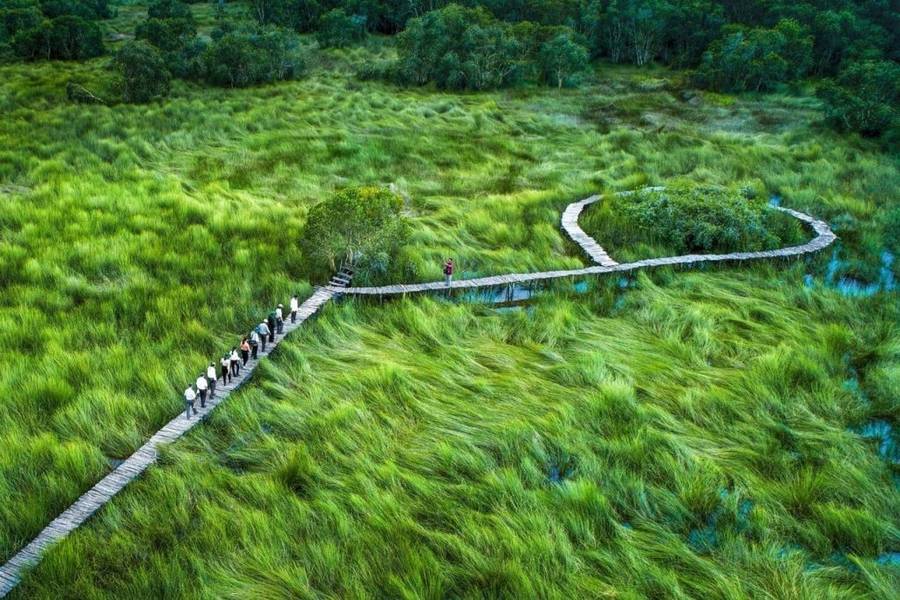 khu du lịch cánh đồng bất tận long an - Hình 1