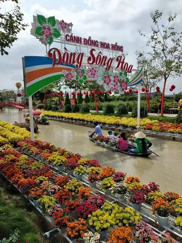 khu du lịch cánh đồng hoa hồng sa đéc ảnh - Hình 5