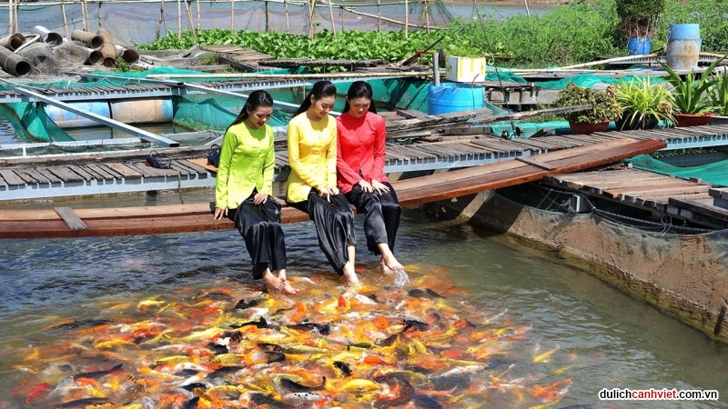 khu du lịch cồn sơn ở đâu - Hình 4