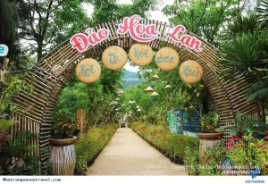 khu du lịch đảo hoa lan