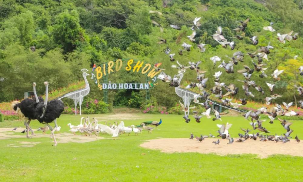 khu du lịch đảo hoa lan - Hình 5