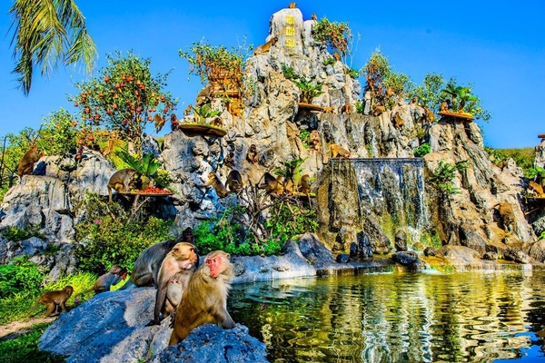 khu du lịch đảo khỉ - Hình 3