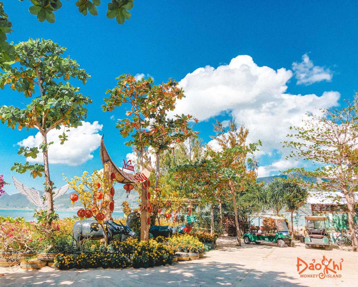 khu du lịch đảo khỉ - Hình 5