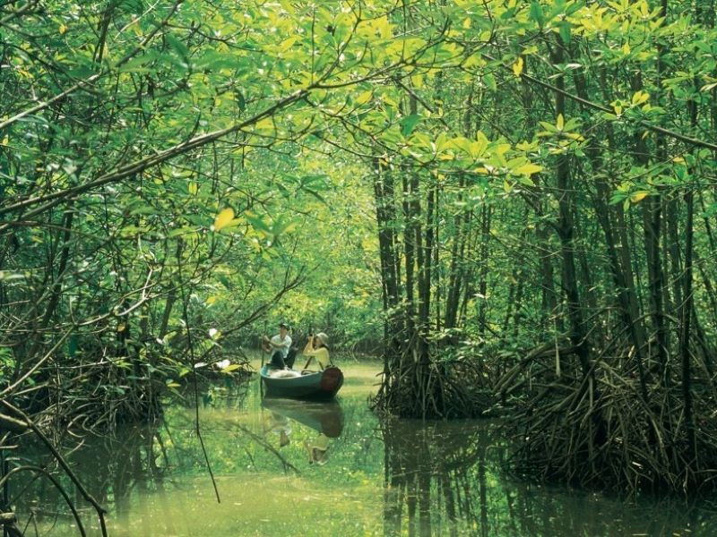 khu du lịch đảo khỉ cần giờ - Hình 3