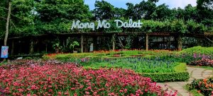 khu du lịch đồi mộng mơ đà lạt