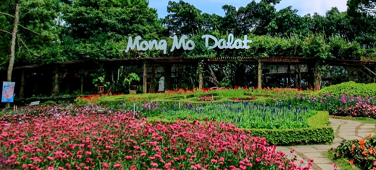 khu du lịch đồi mộng mơ đà lạt - Hình 1