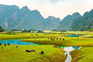khu du lịch đồng lâm hữu lũng lạng sơn