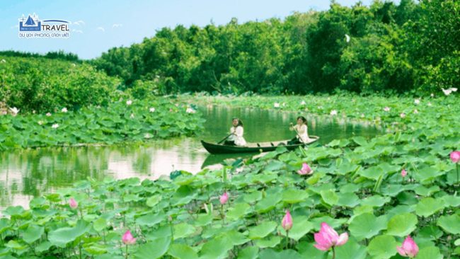 khu du lịch gáo giồng đồng tháp - Hình 5
