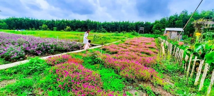 khu du lịch hoa rừng u minh - Hình 1