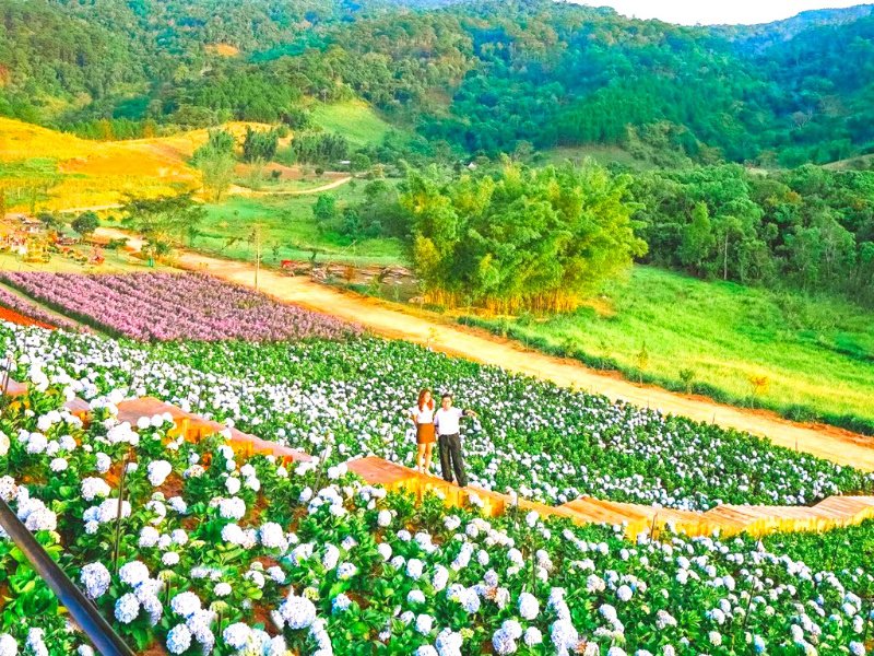 khu du lịch hoa trong rừng - Hình 4
