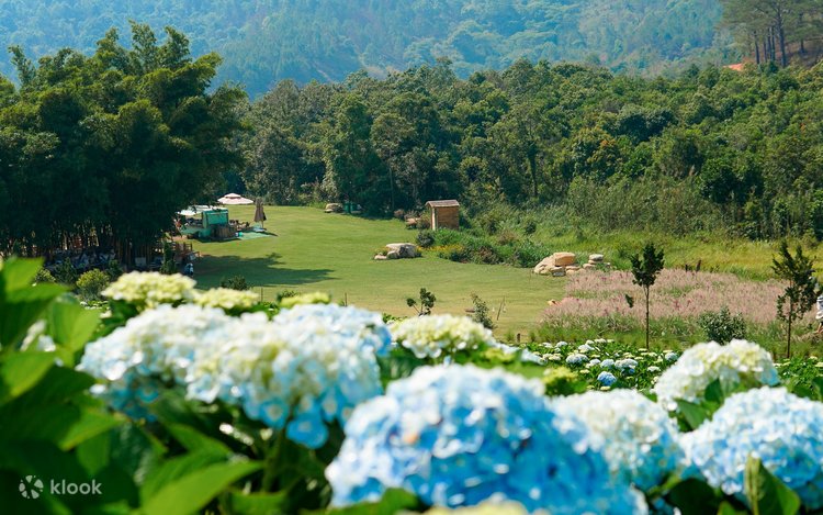 khu du lịch hoa trong rừng - Hình 5