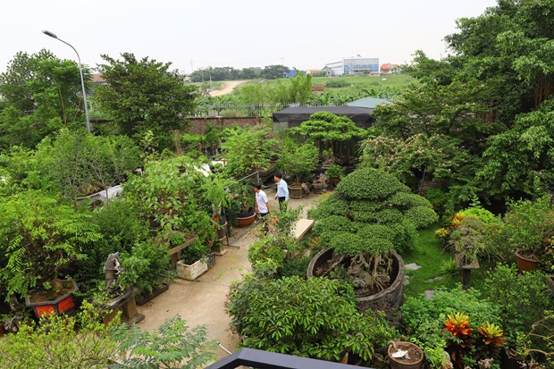 khu du lịch hồng vân - Hình 5