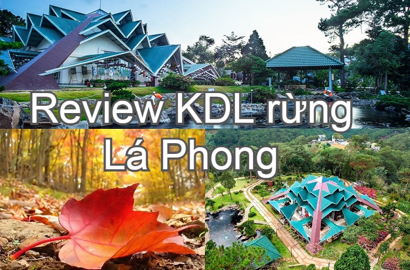 khu du lịch lá phong đà lạt review - Hình 2